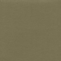 Guarana 3004