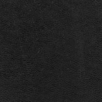 Zahir 01