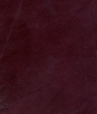 Zareen 02
