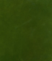 Zareen 03