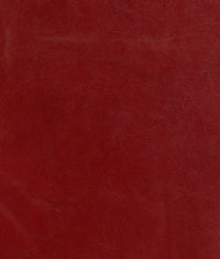 Zareen 04