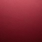 cherry (2865)