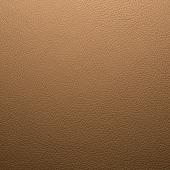nougat (28176)