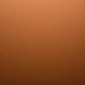 teak (2866)