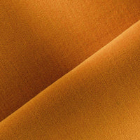 ABRICOT (3209)