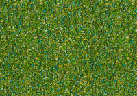 MS001