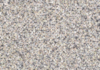 MS002