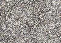 MS004