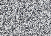 MS009