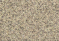 MS013