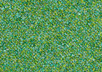 MS023