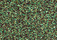MS029