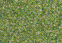 MS037