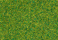 MS038