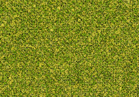 MS039