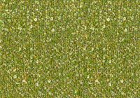 MS040