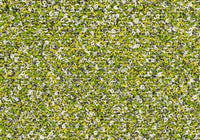 MS041