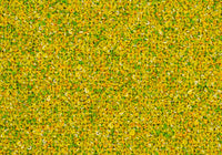 MS042