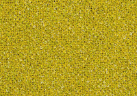 MS043
