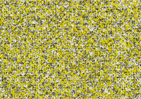 MS047
