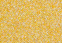 MS054