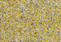 MS055
