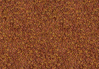 MS057
