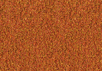 MS058