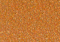 MS061
