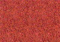 MS065