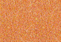 MS067