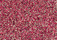 MS068