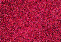 MS074