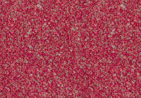MS077