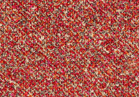 MS081
