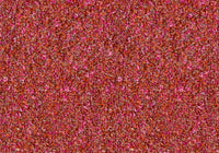 MS087