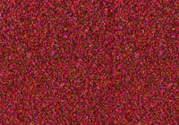 MS089