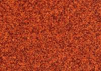 MS094
