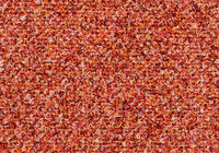 MS098