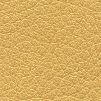 Arken (CO2205)