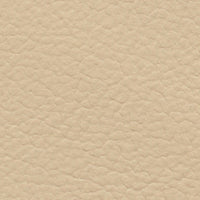 Barn Owl (FE4021)