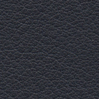 Black Diamond (CO2211)