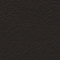 Black (FEBLK)
