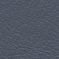 Blue Jay (FE4070)