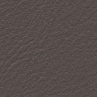 Canadian Goose (FE4058)