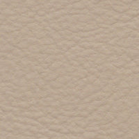 Caracara Eagle (FE4005)