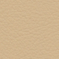 Desert Lark (FE4053)