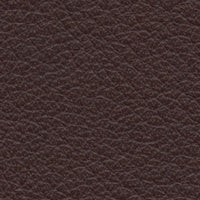 Elsinore (CO2210)