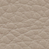 Gabbiano (PT2319)