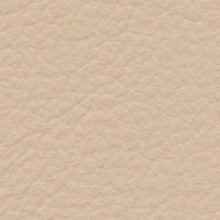 Giant Petrel (FE4022)